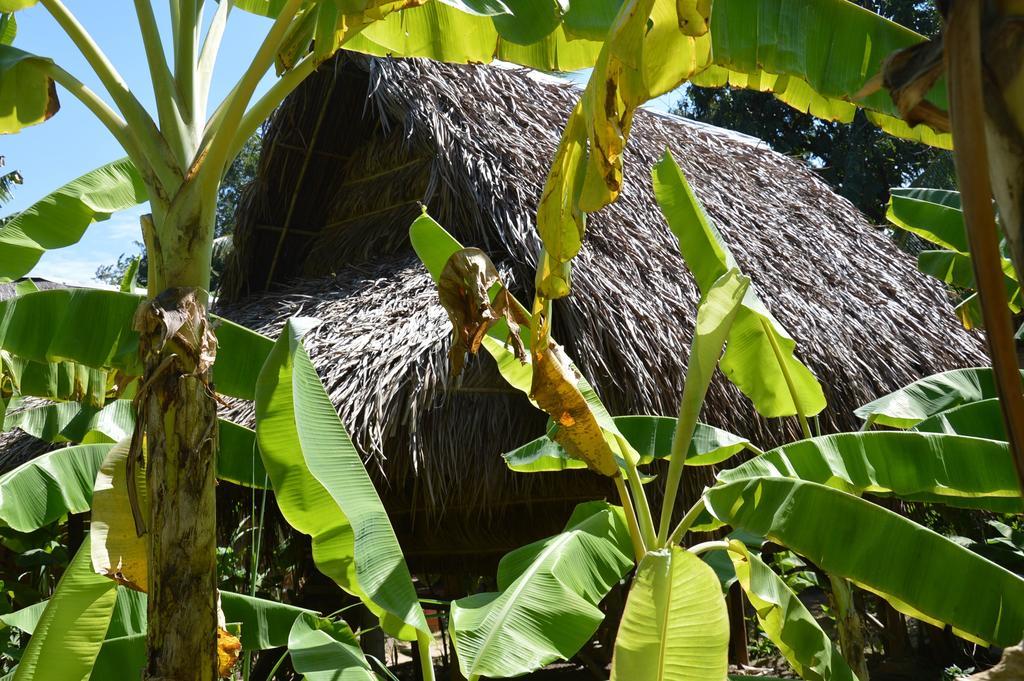 Samon Village Kampot Eksteriør billede