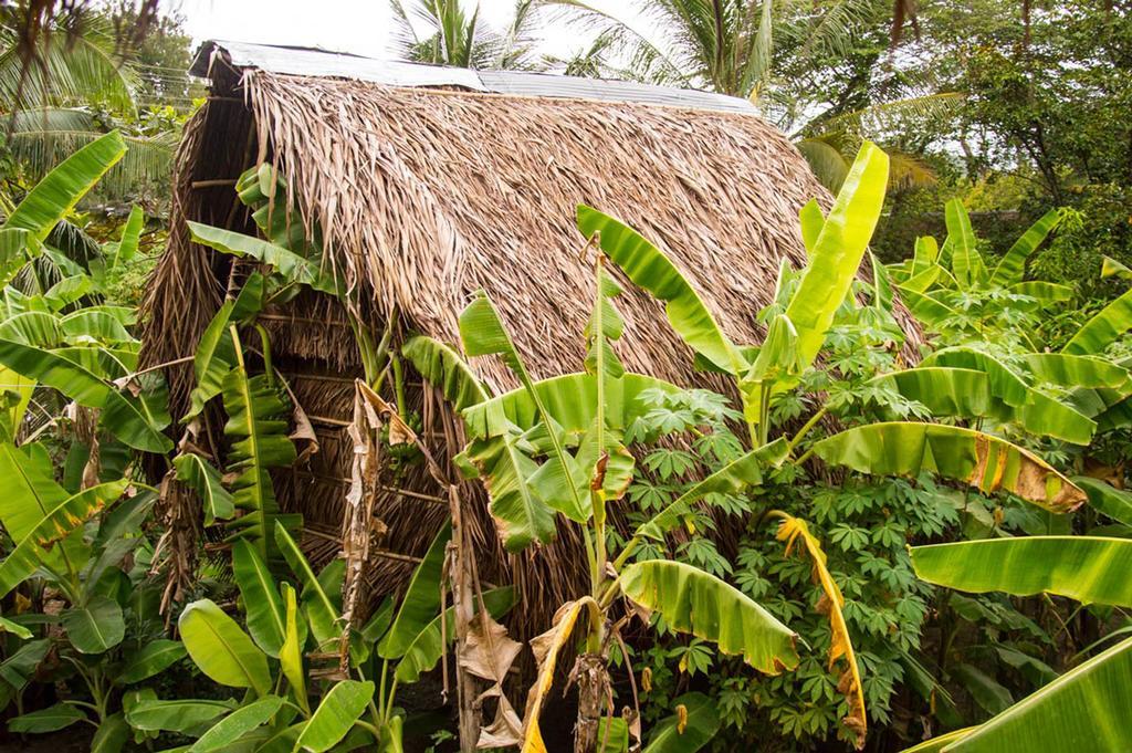 Samon Village Kampot Eksteriør billede