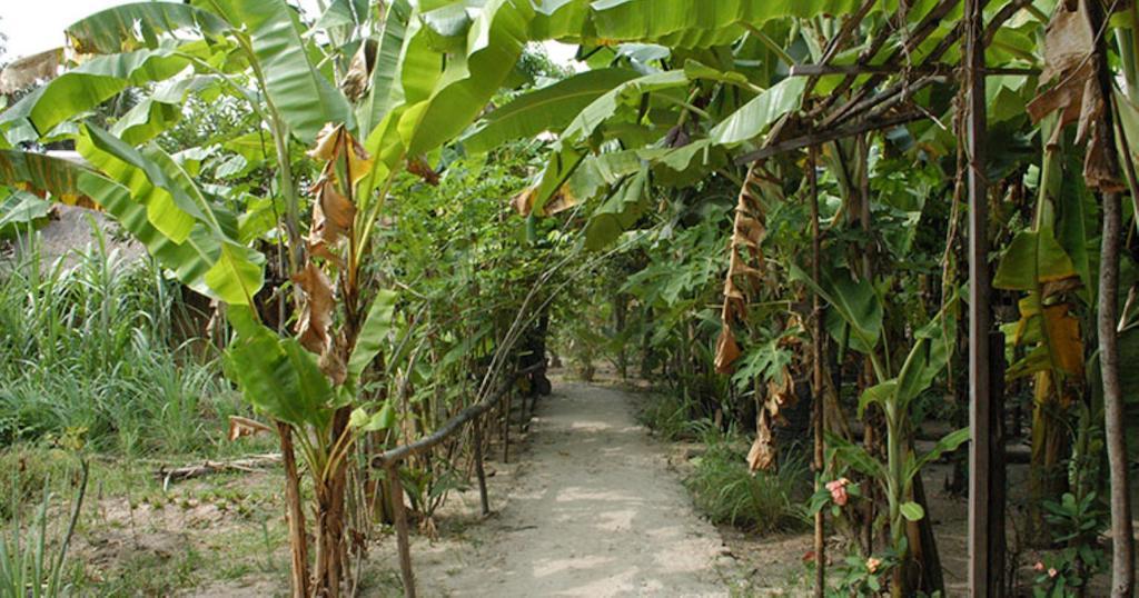 Samon Village Kampot Eksteriør billede